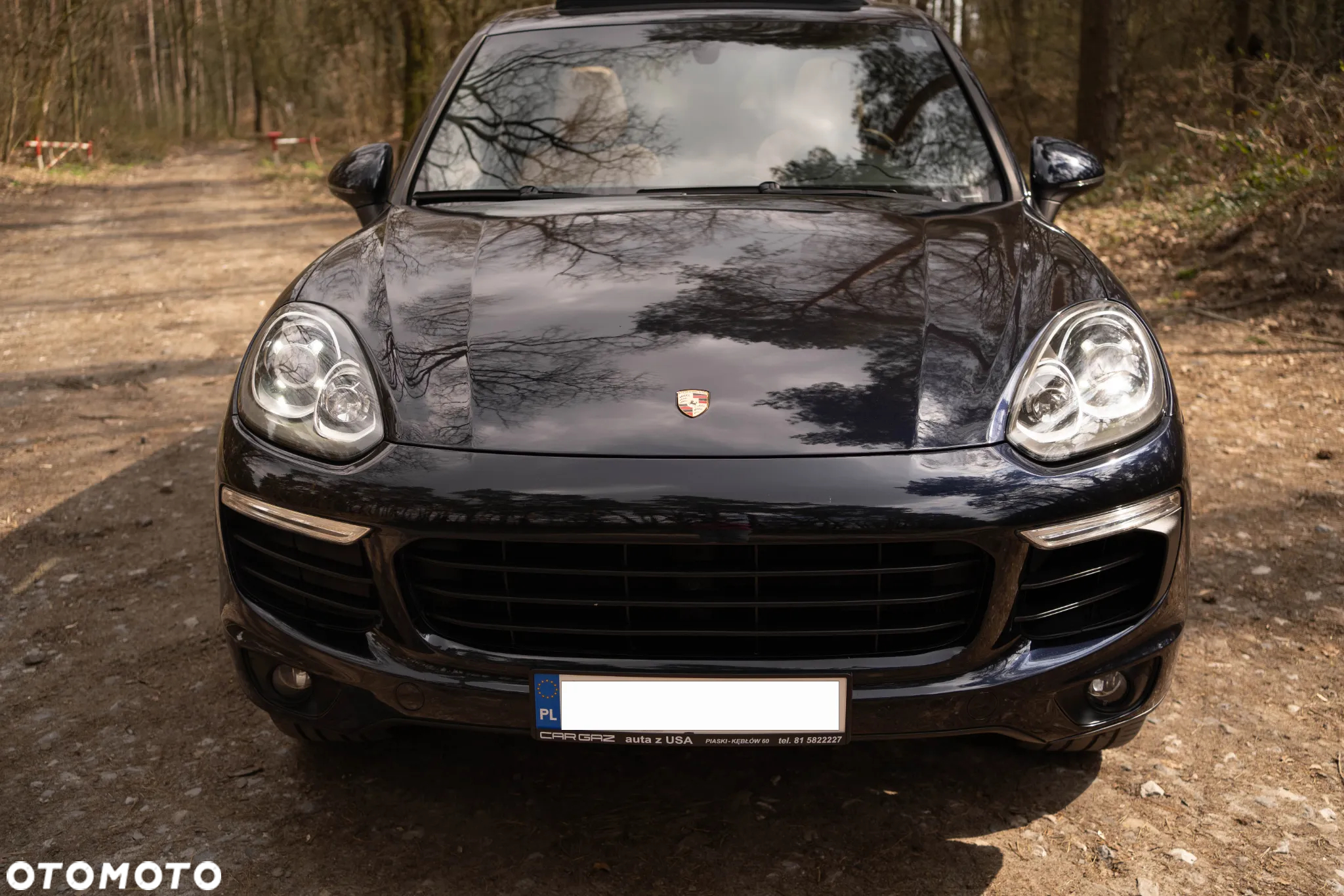 Porsche Cayenne Platinum Edition - 2