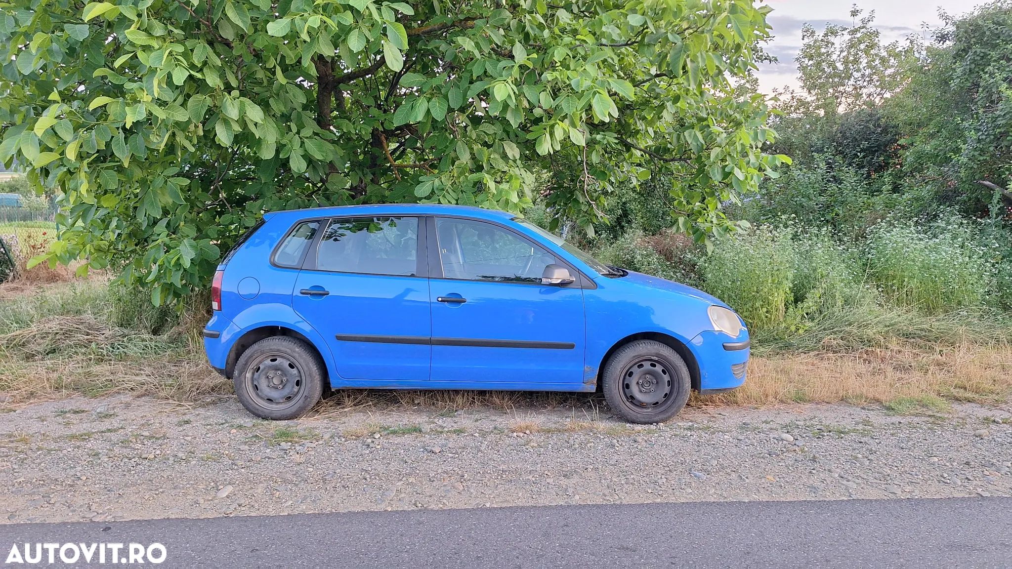 Volkswagen Polo - 1