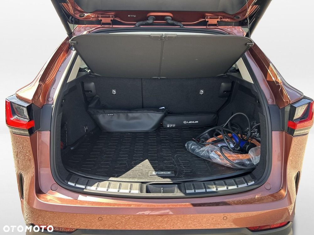 Lexus NX - 14