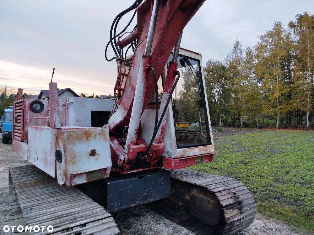 Case 61 błotniak - 16