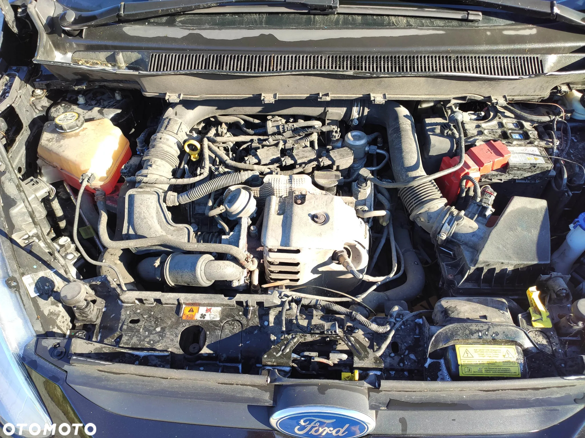 Ford B-MAX 1.0 EcoBoost Titanium - 10
