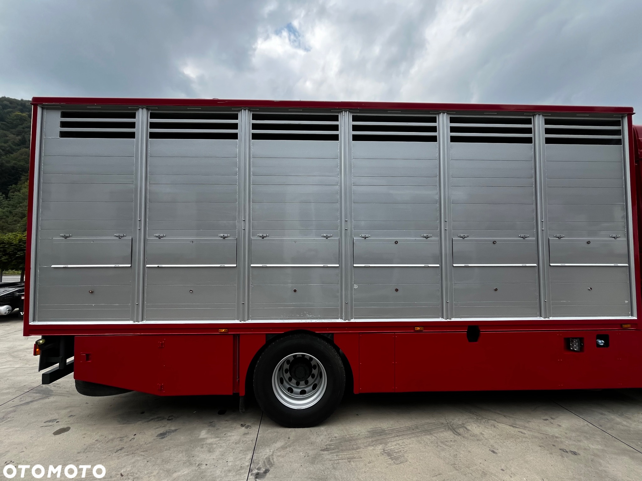 DAF XF 105.460 Euro 5 // Manual // Retarder // Do Żywca / Bydła / Zwierząt / - 13