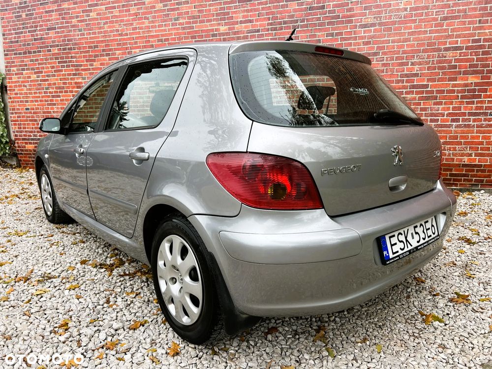 Peugeot 307 - 5