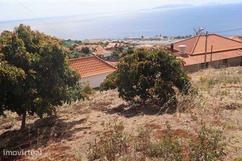 Terreno para Moradia em Santa Cruz - Grande imagem: 4/6
