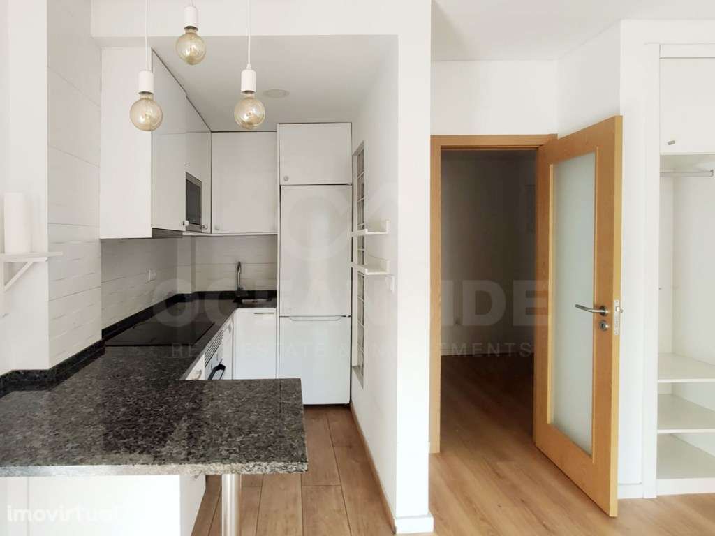 T1 remodelado na Quinta das Palmeiras - Grande imagem: 5/14