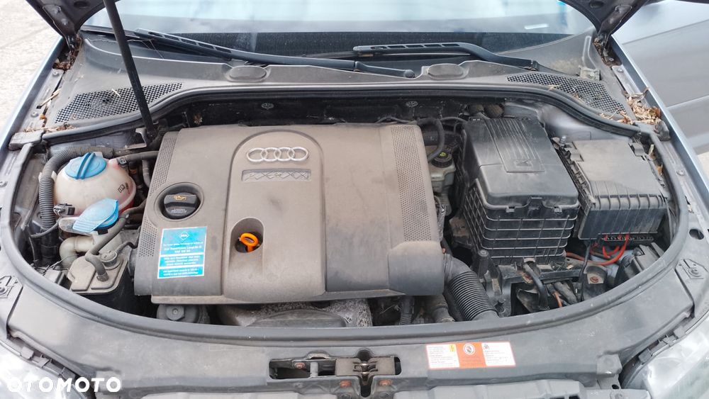 Tylko Części AUDI A3 8P 1.6 FSI BLF 116KM 85kW 5D SPORTBACK 04r–08r Lakier LY7H - 10