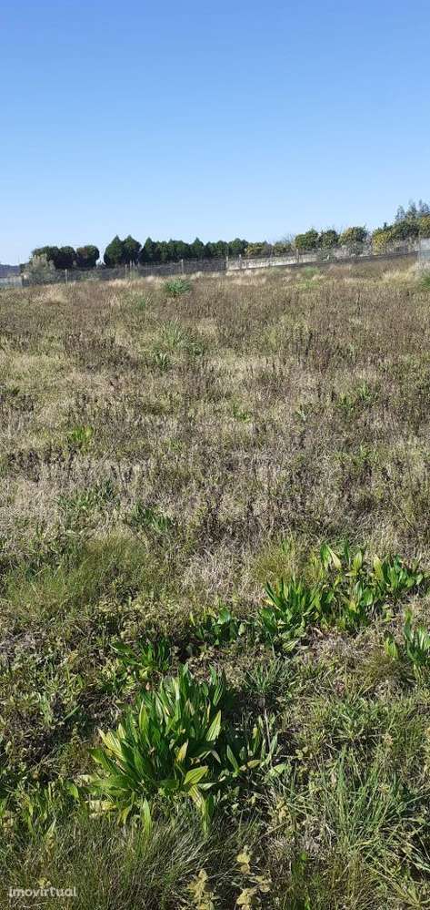 Fantástico Terreno para construção - Grande imagem: 5/12