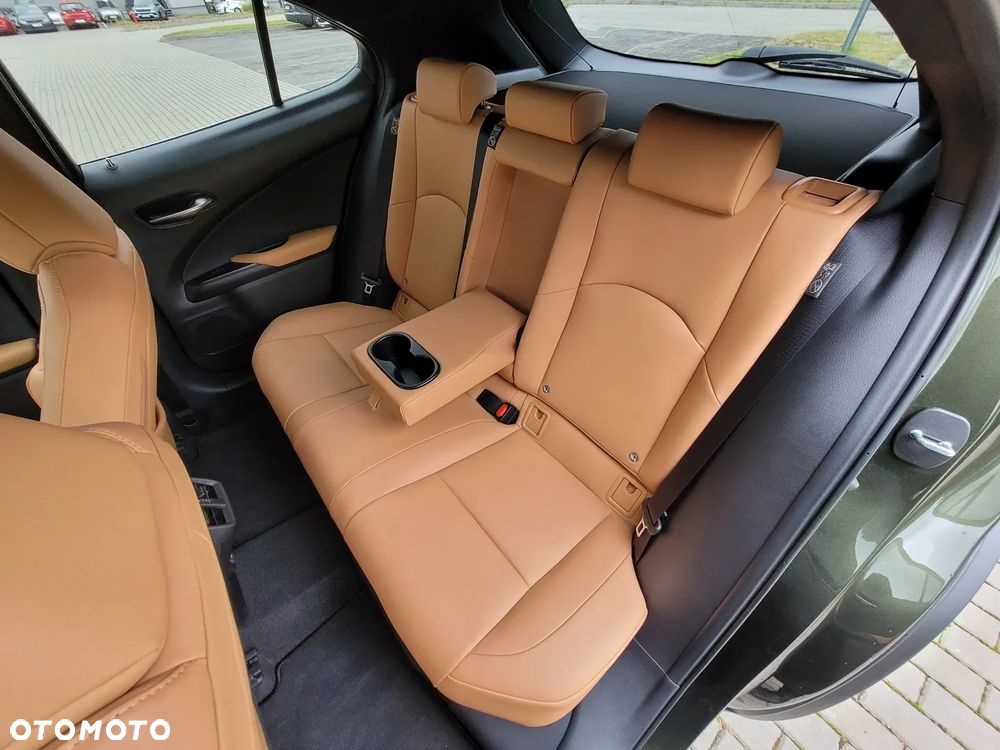 Lexus UX 300h F Sport Design - 15