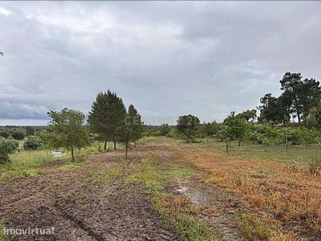 Terreno Rústico com 5.000m2 com permissão de edificação em S.José da L - Grande imagem: 2/12
