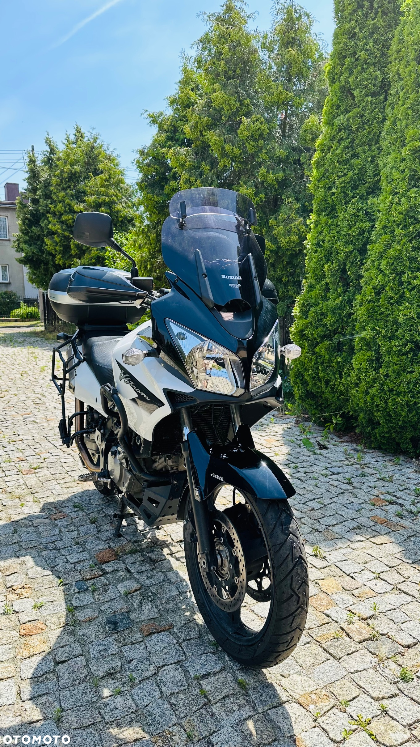 Suzuki DL - 3