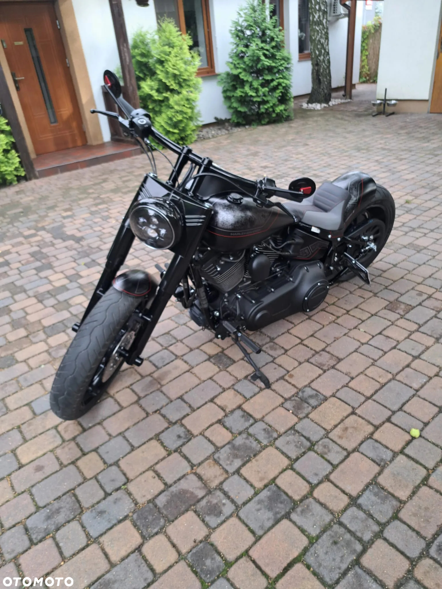 Harley-Davidson Softail Custom - 20