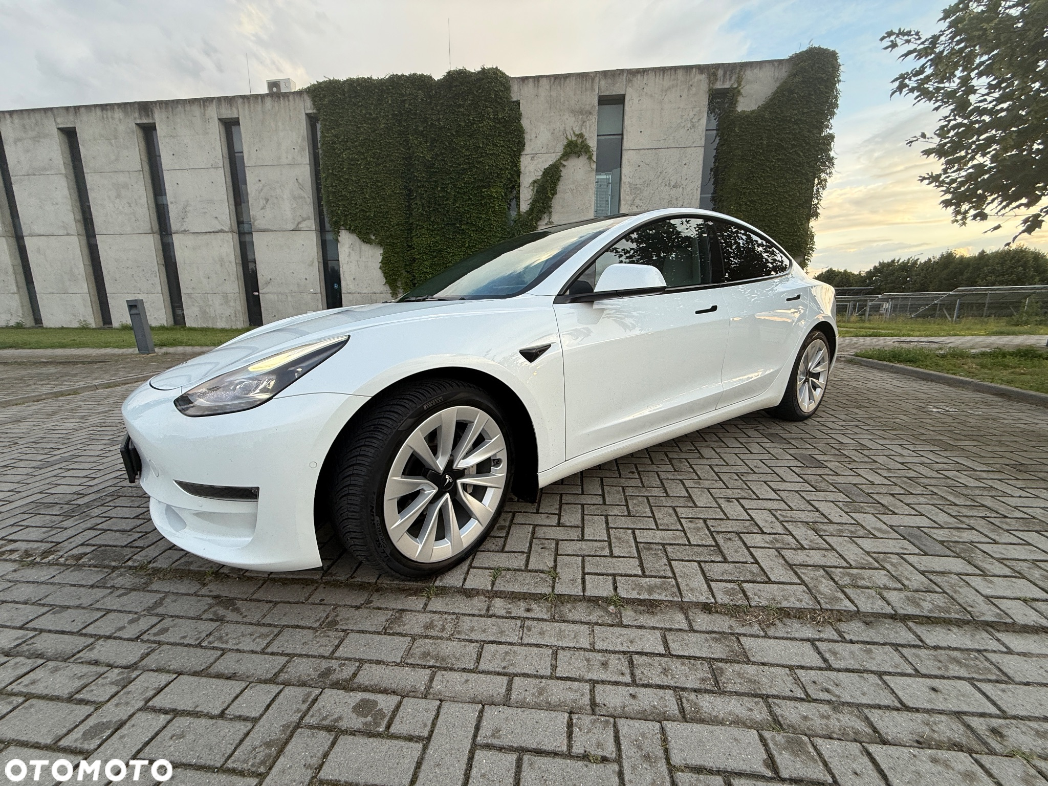 Tesla Model 3 - 6