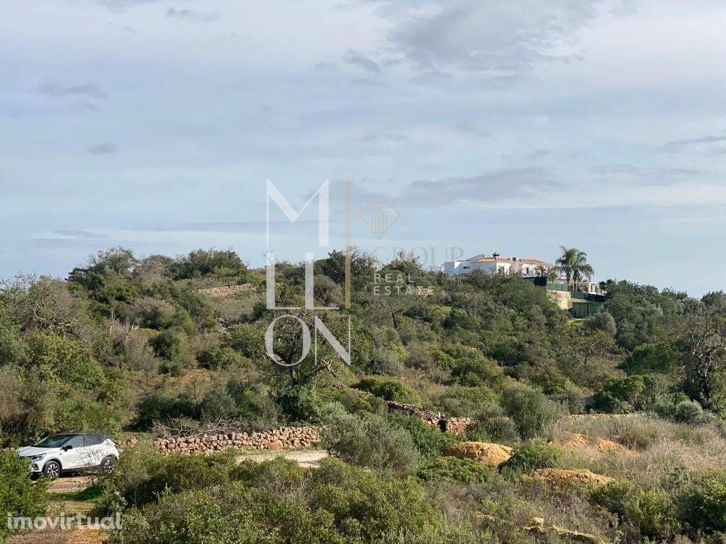 Terreno rustico com potencial de construção em análise - Grande imagem: 2/5