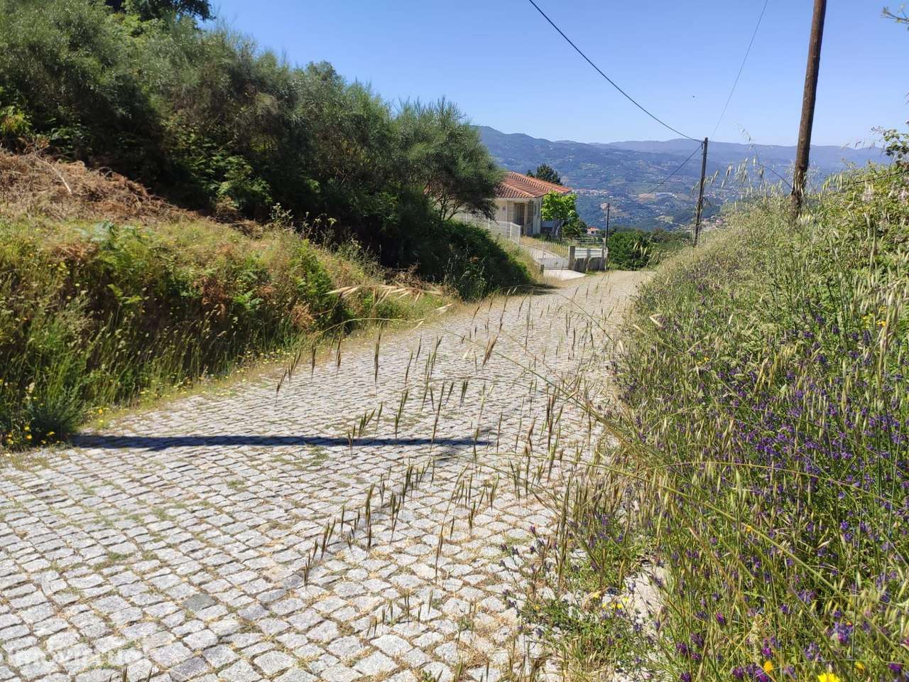 Terreno agrícola em zona habitacional e com ótimos acessos em Travanca - Grande imagem: 2/15
