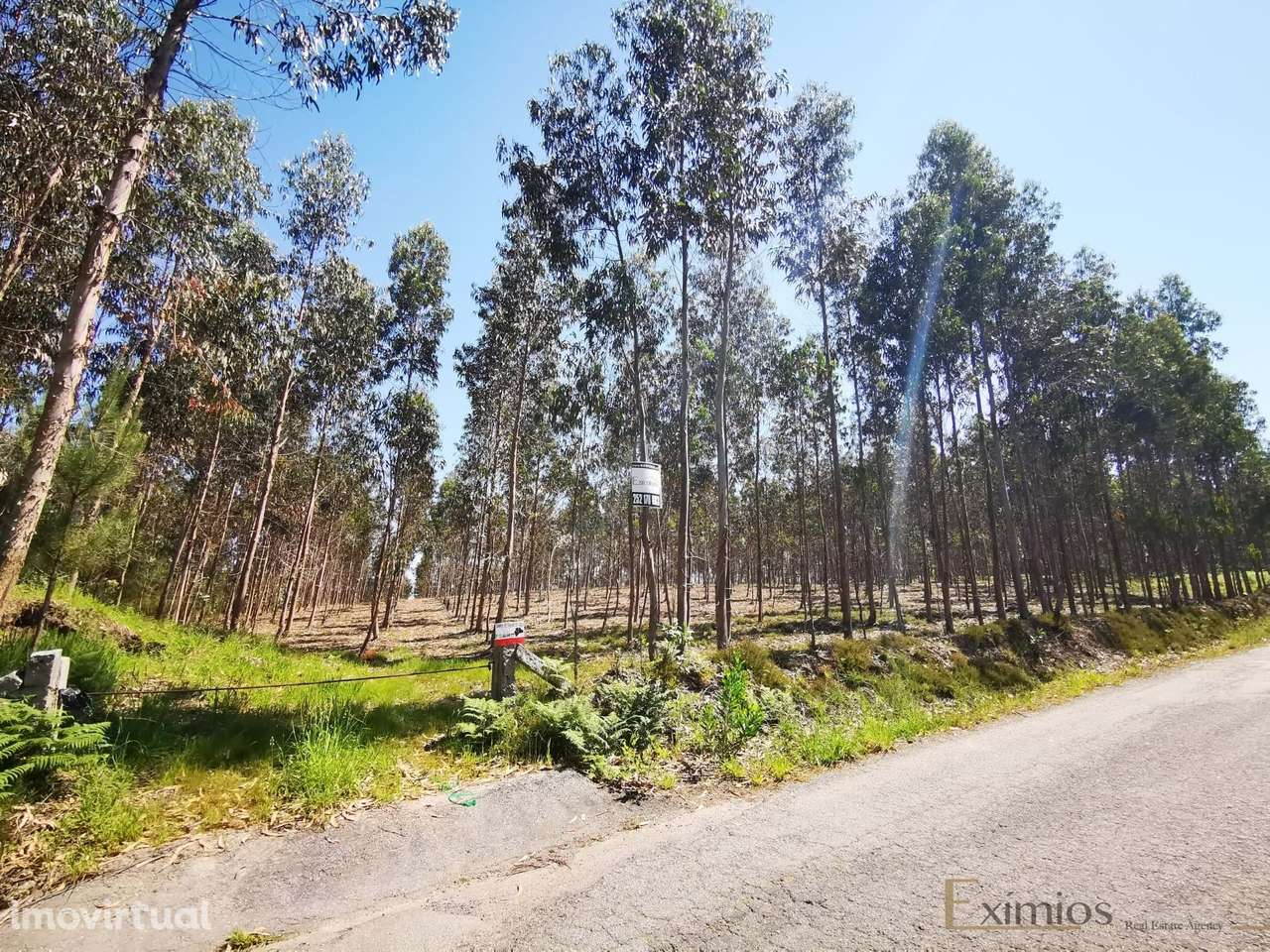 Terreno rústico, em Rates - Grande imagem: 4/6