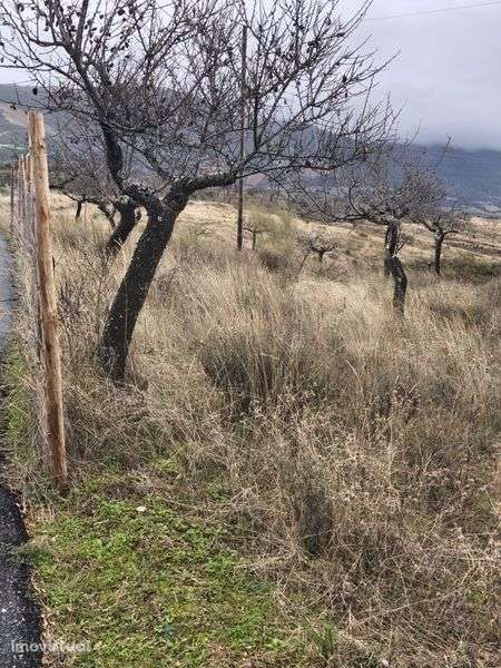 Terreno rústico em sequeiros - Grande imagem: 2/8