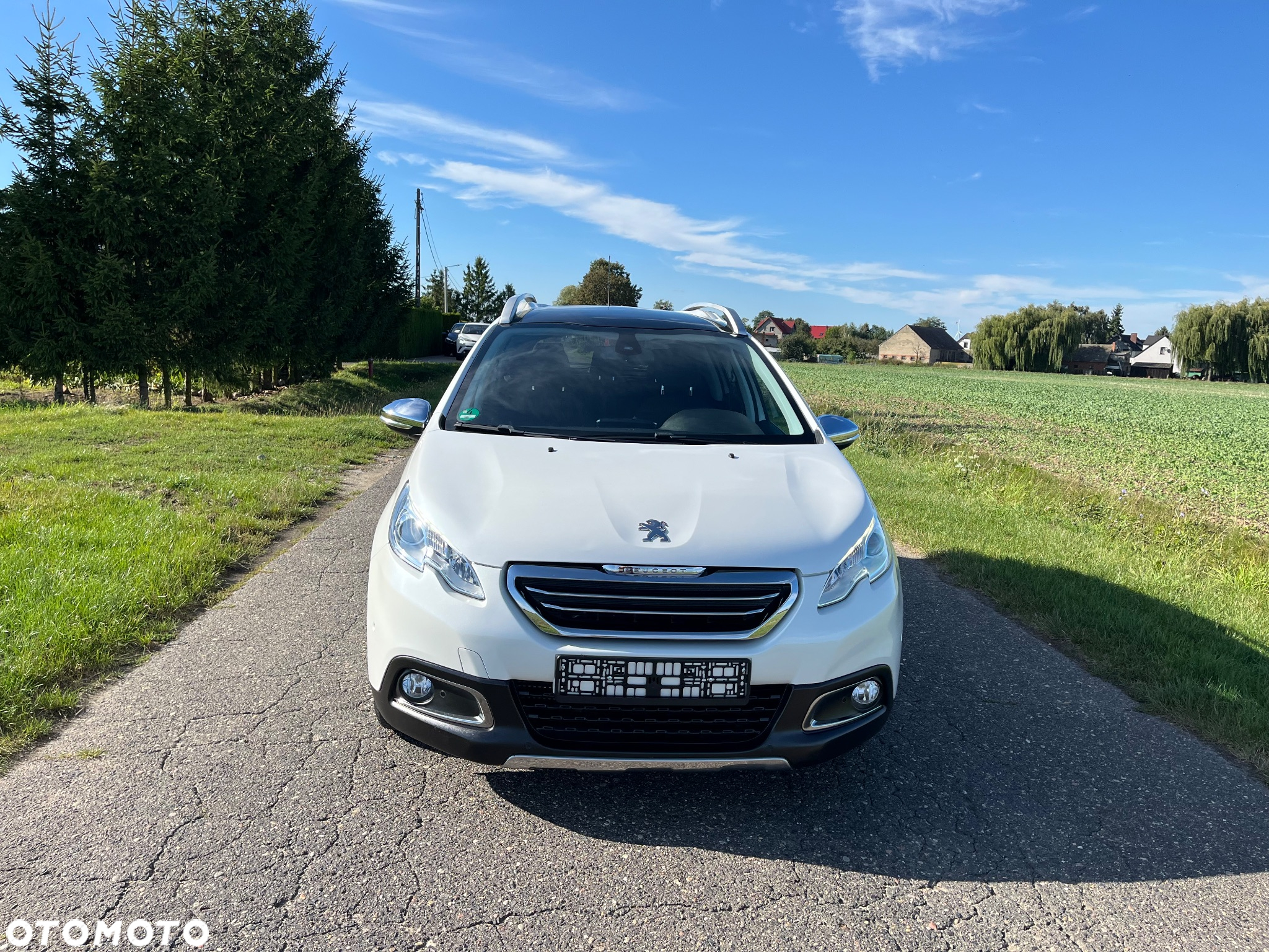 Peugeot 2008 - 3