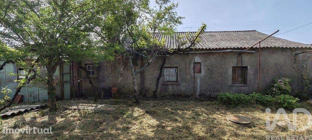 Casa / Villa T2 em Avelar de 72 m2 - Grande imagem: 3/40