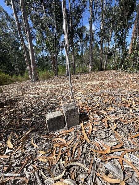 Terreno rústico em zona florestal - Grande imagem: 4/4