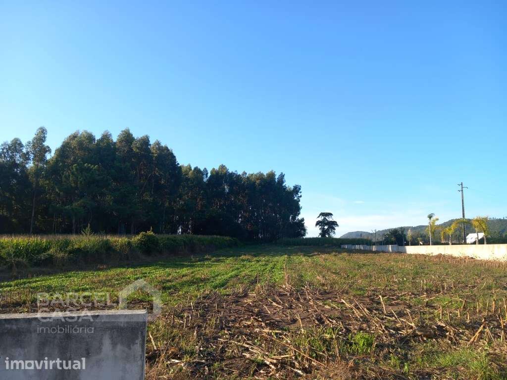Terreno de construção nas Marinhas - Esposende - Grande imagem: 3/5