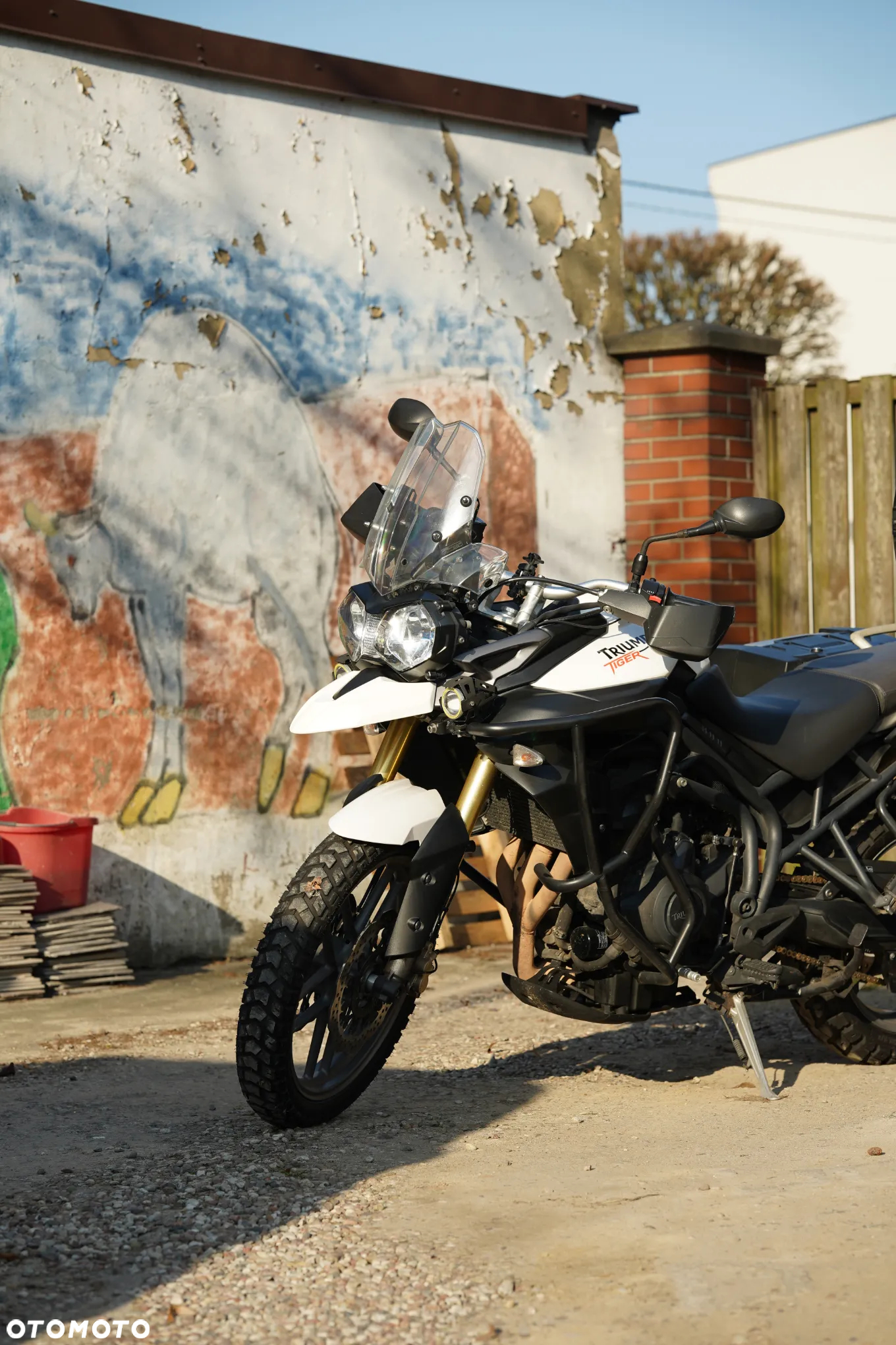 Triumph Tiger - 24