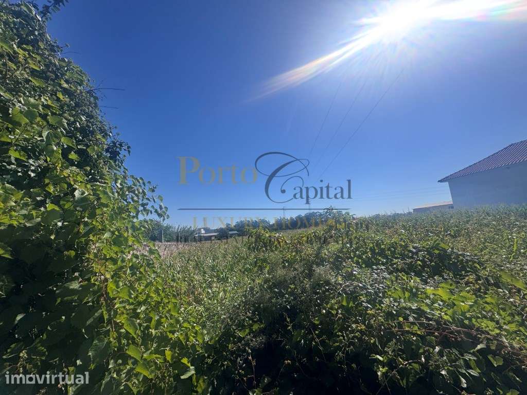Terreno com 7.017 m² Com Potencial Construtivo - Guilhabreu, Vila d... - Grande imagem: 4/30