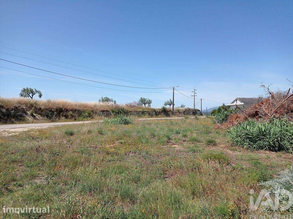 Terreno Agrícola em Madalena e Beselga - Grande imagem: 2/27