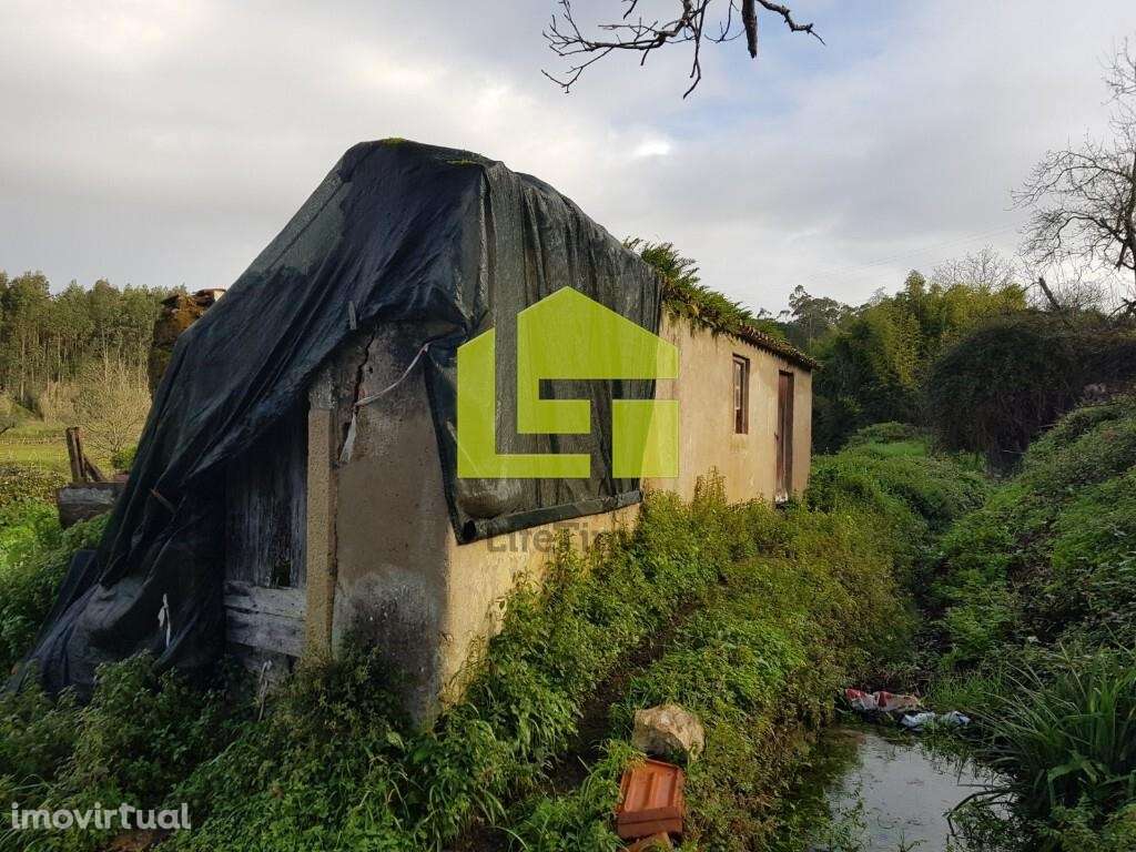 Quinta com projeto aprovado. - Grande imagem: 3/44