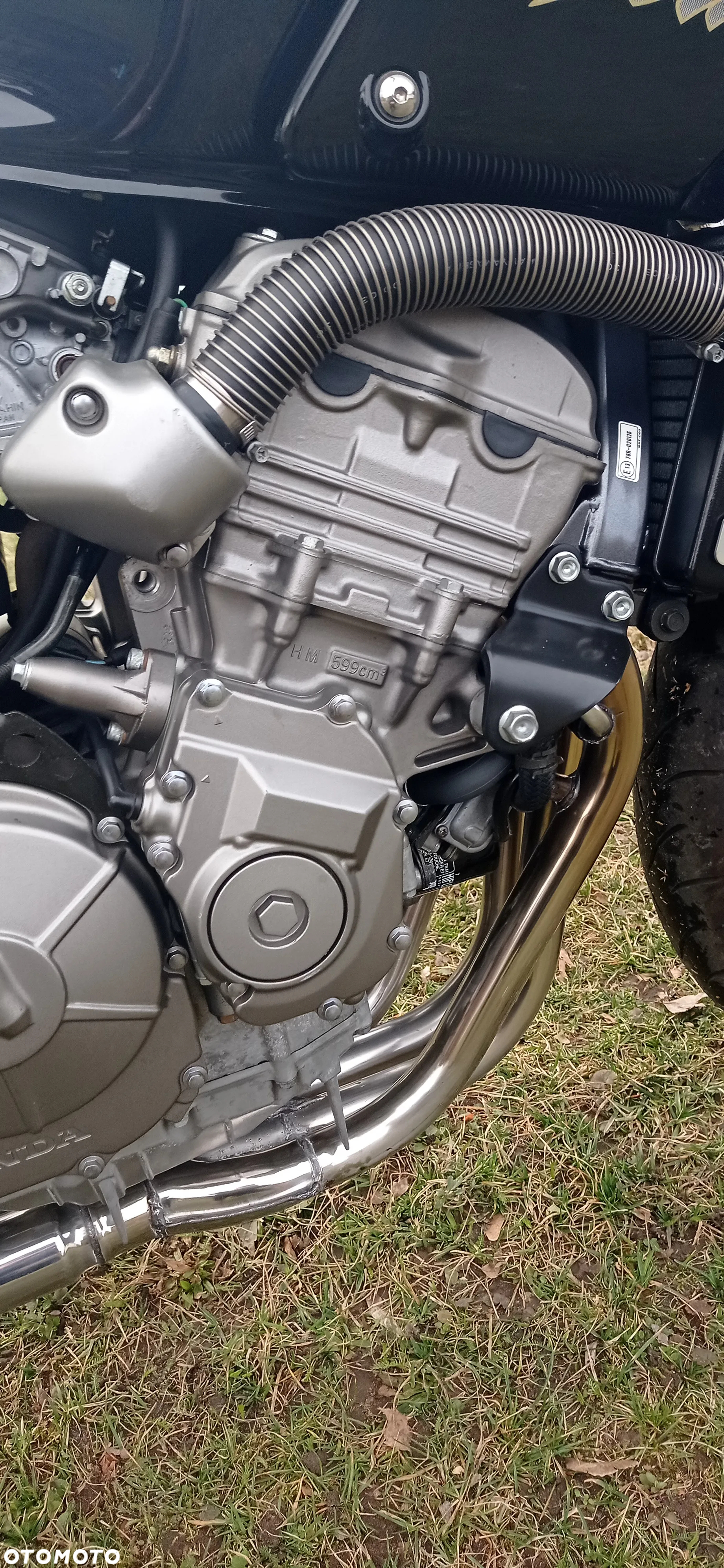 Honda Hornet - 6