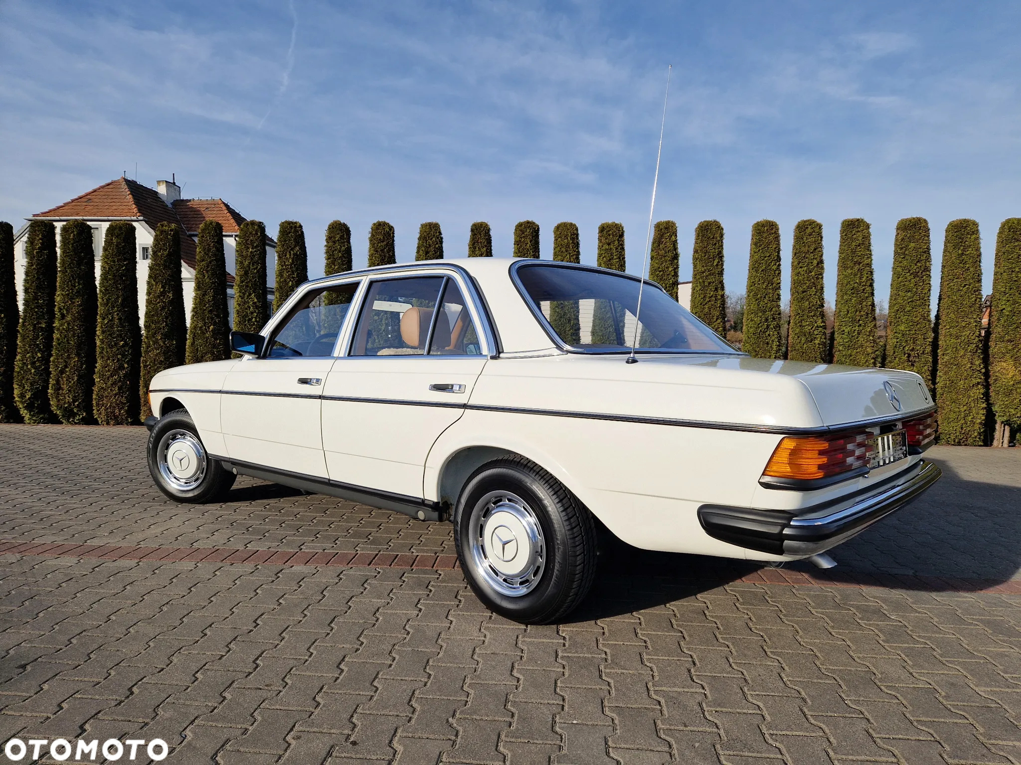 Mercedes-Benz W123 - 15