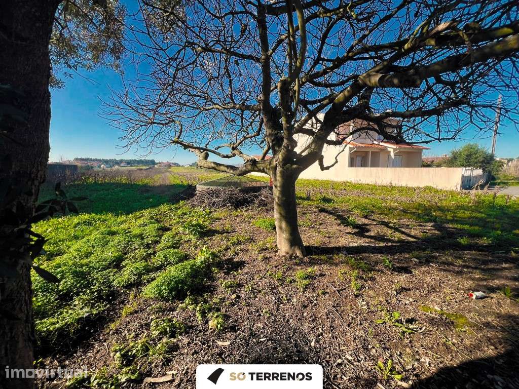 terreno para construção de moradia isolada e térrea - Grande imagem: 3/5