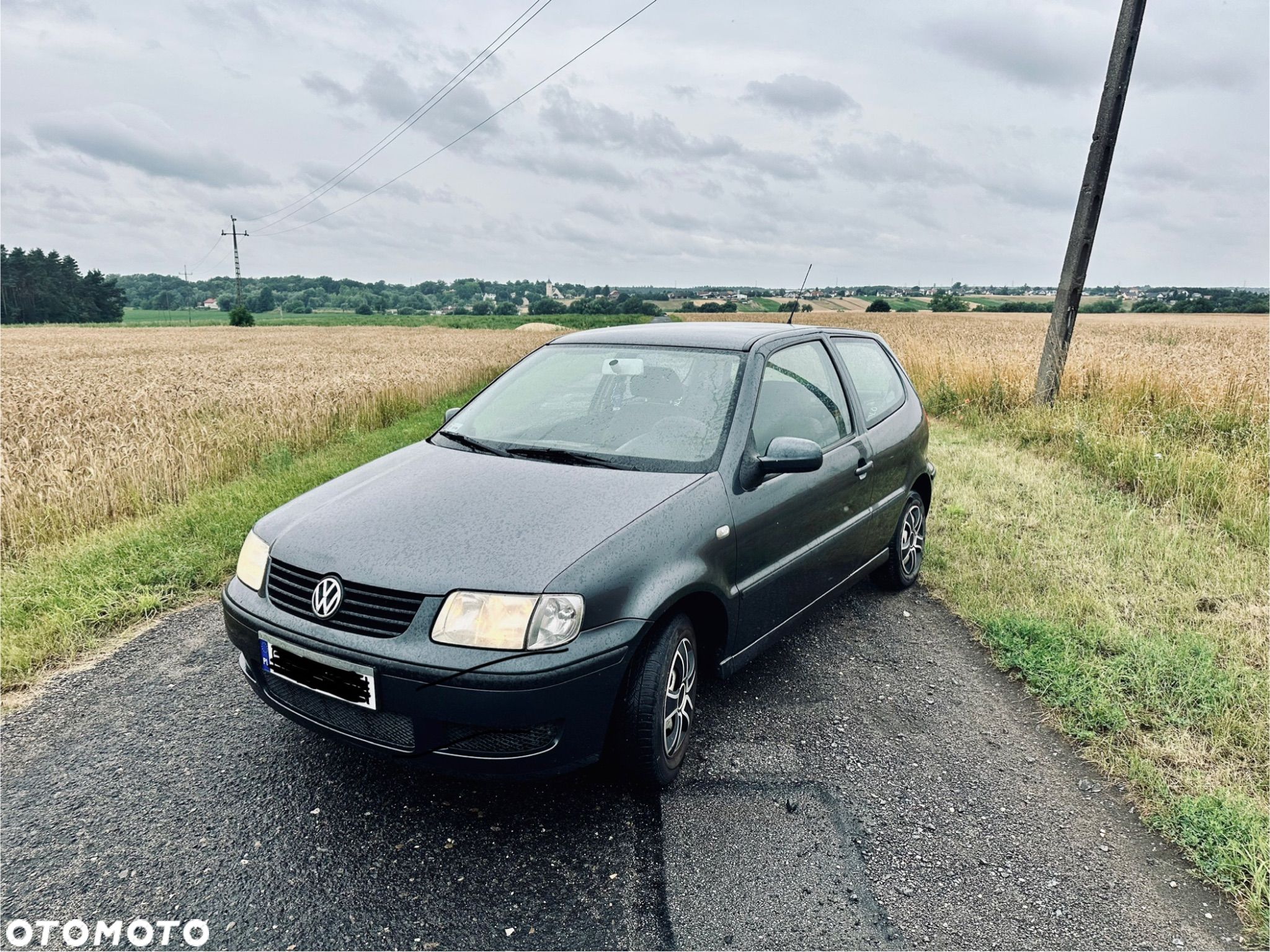 Volkswagen Polo - 1