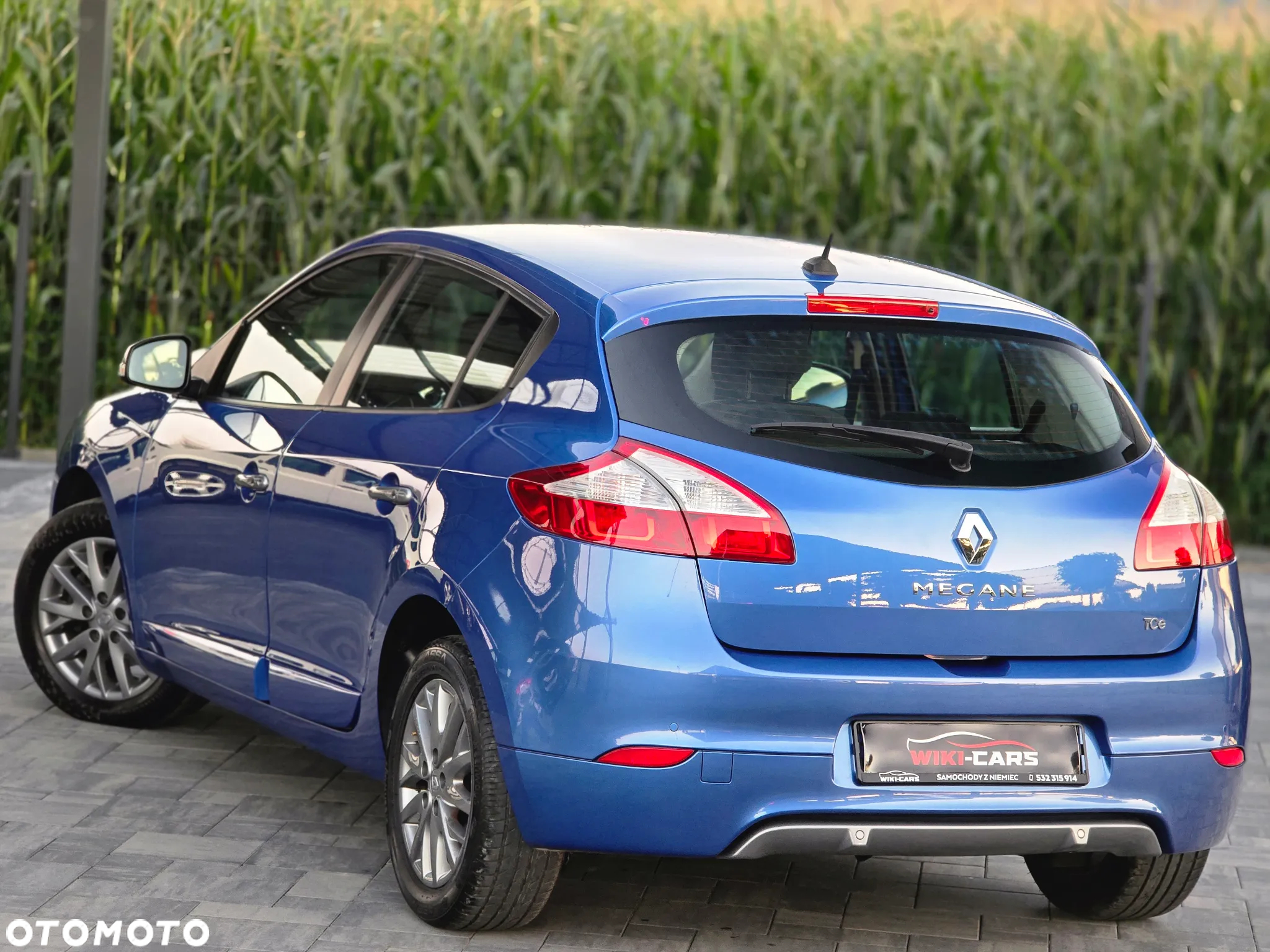 Renault Megane 1.2 16V TCe Energy Limited - 12