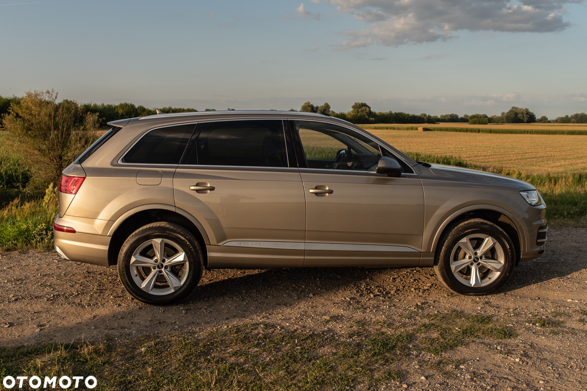 Audi Q7 3.0 TDI Quattro Tiptronic - 25