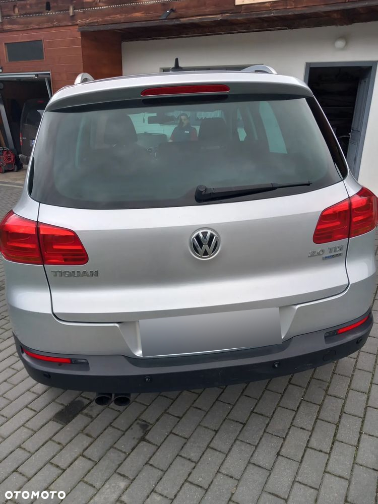 Volkswagen Tiguan - 21