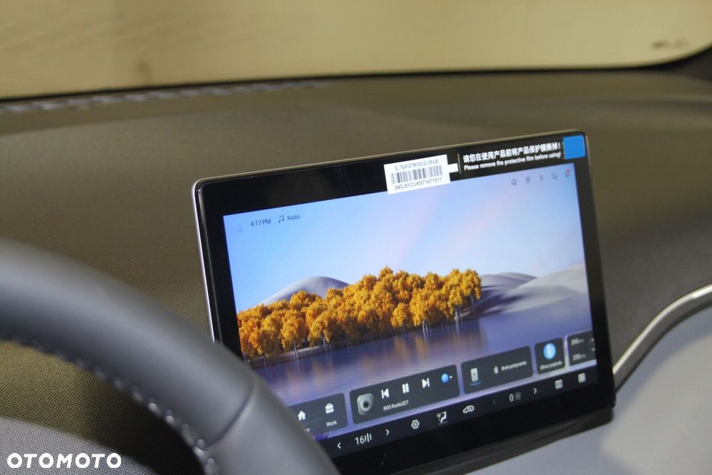 BYD Dolphin Surf - 35