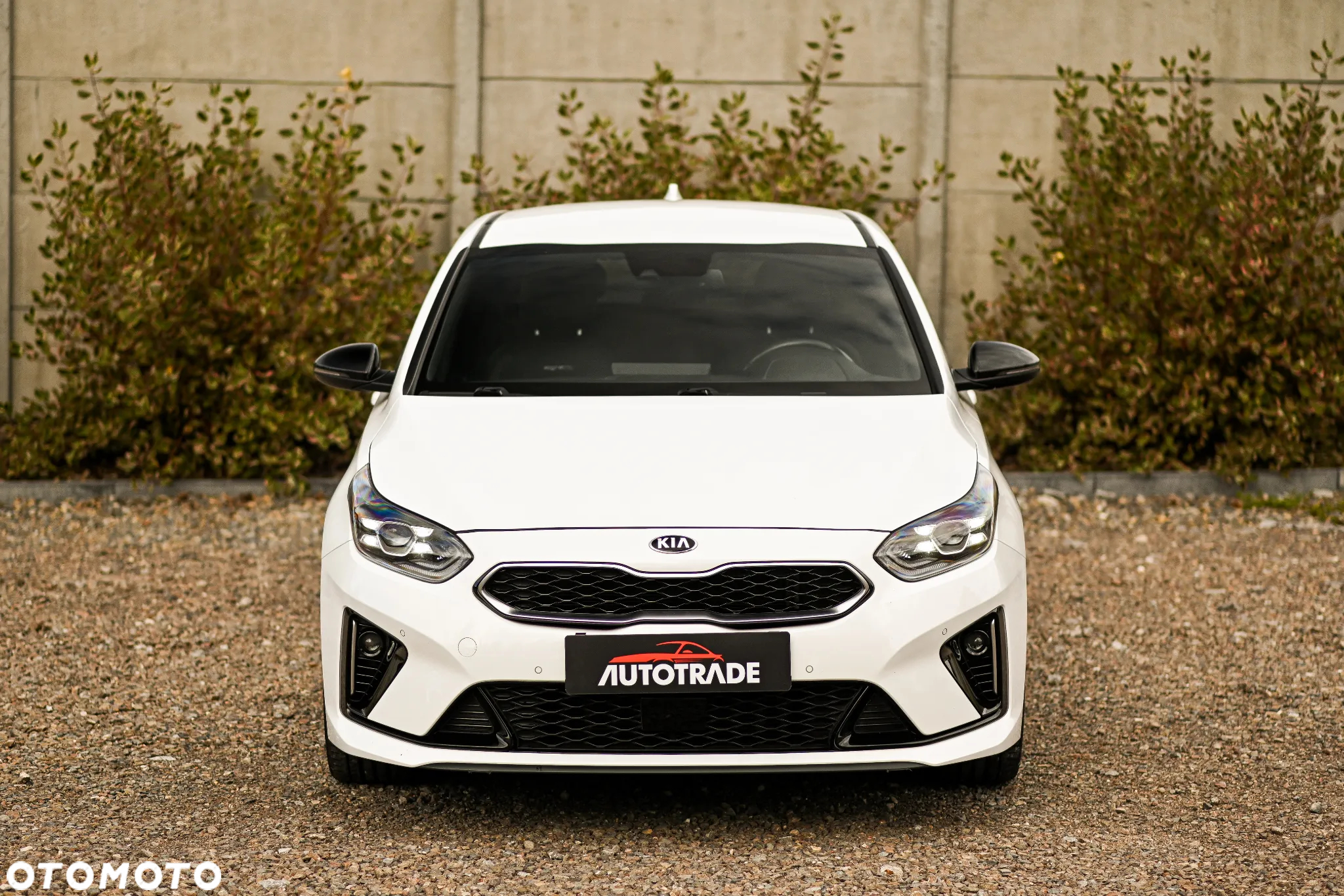 Kia ProCeed 1.6 CRDi GT Line DCT - 6