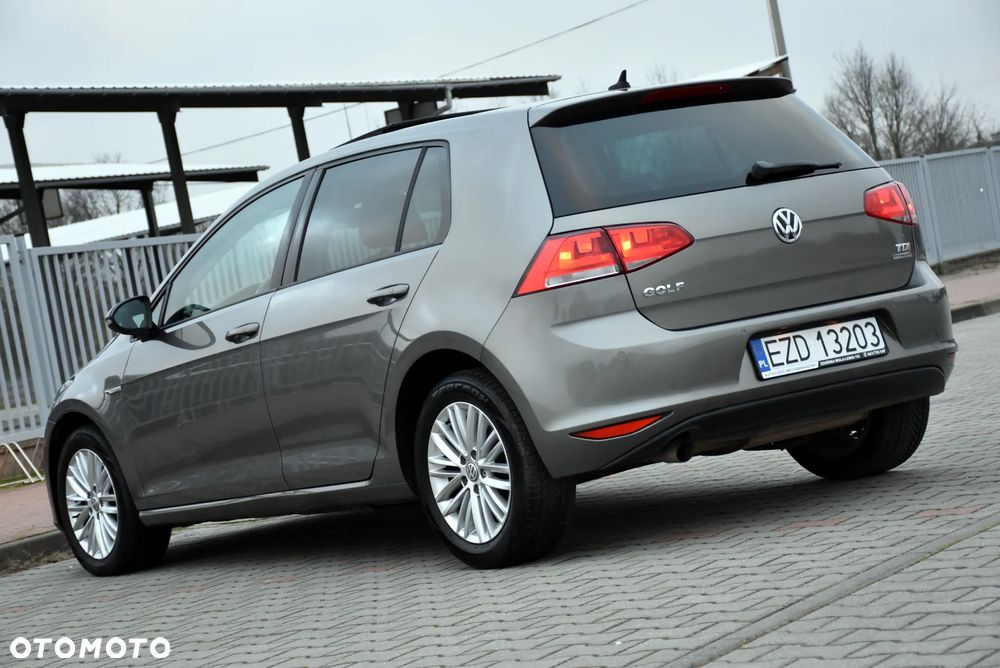 Volkswagen Golf 1.6 TDI BlueMotion Technology Cup - 3