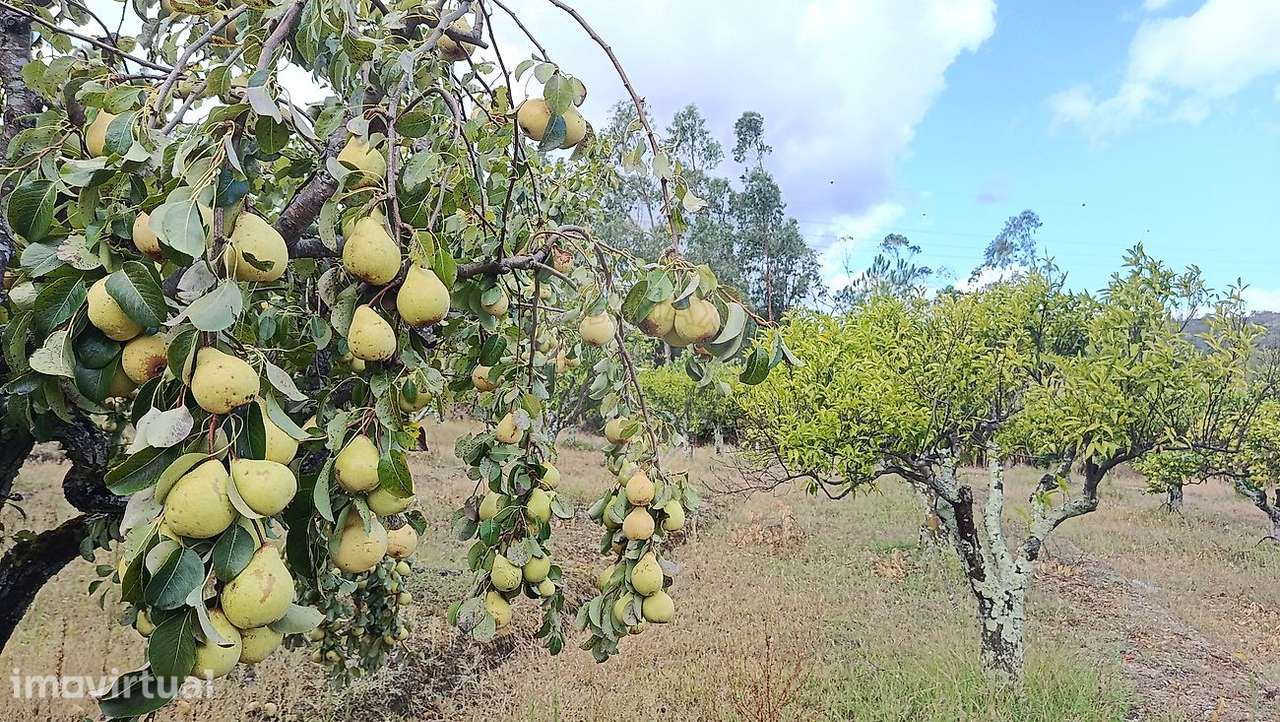 Terreno  para venda - Grande imagem: 4/38