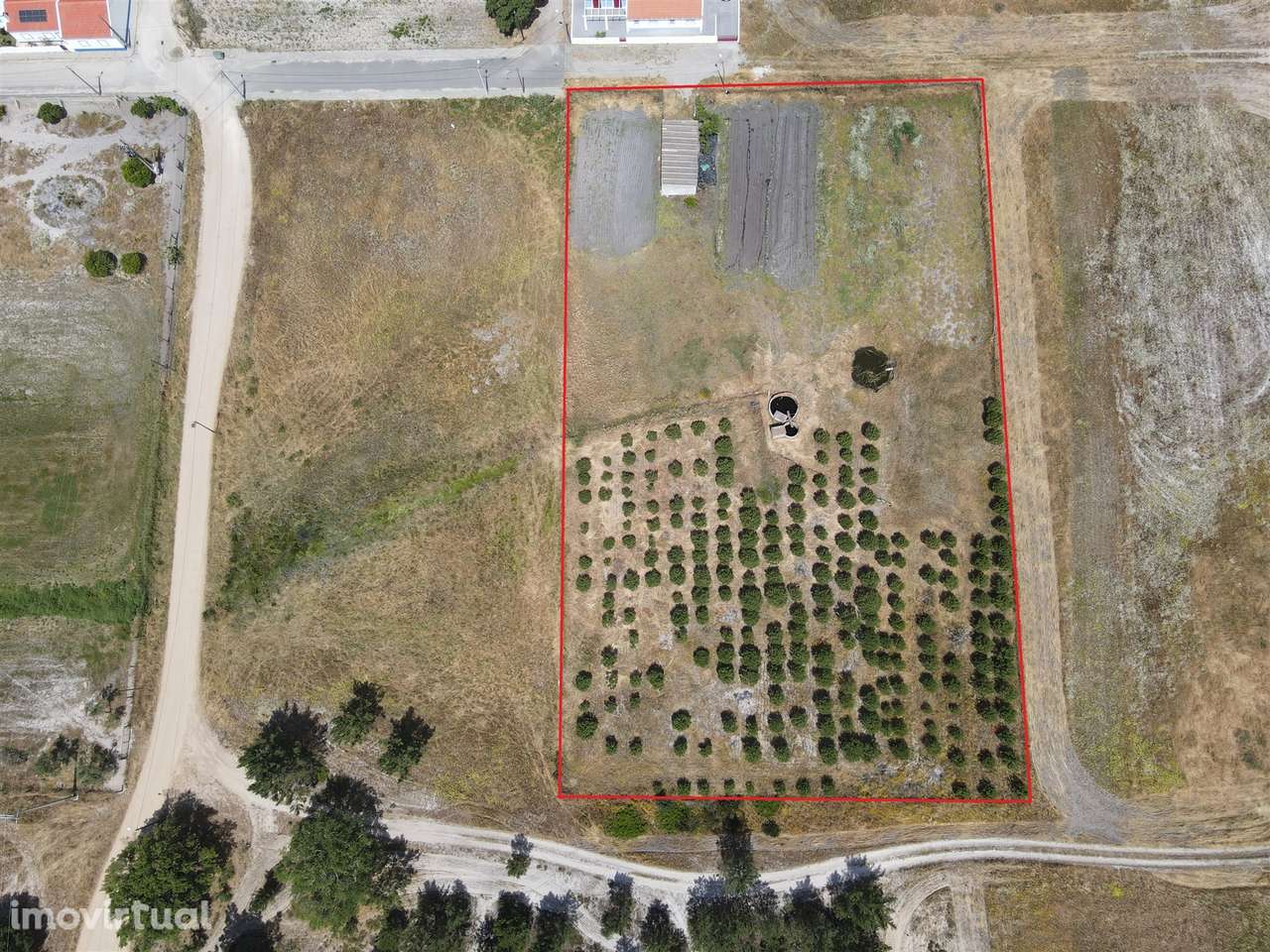 Terreno misto no Alentejo - Grande imagem: 2/20