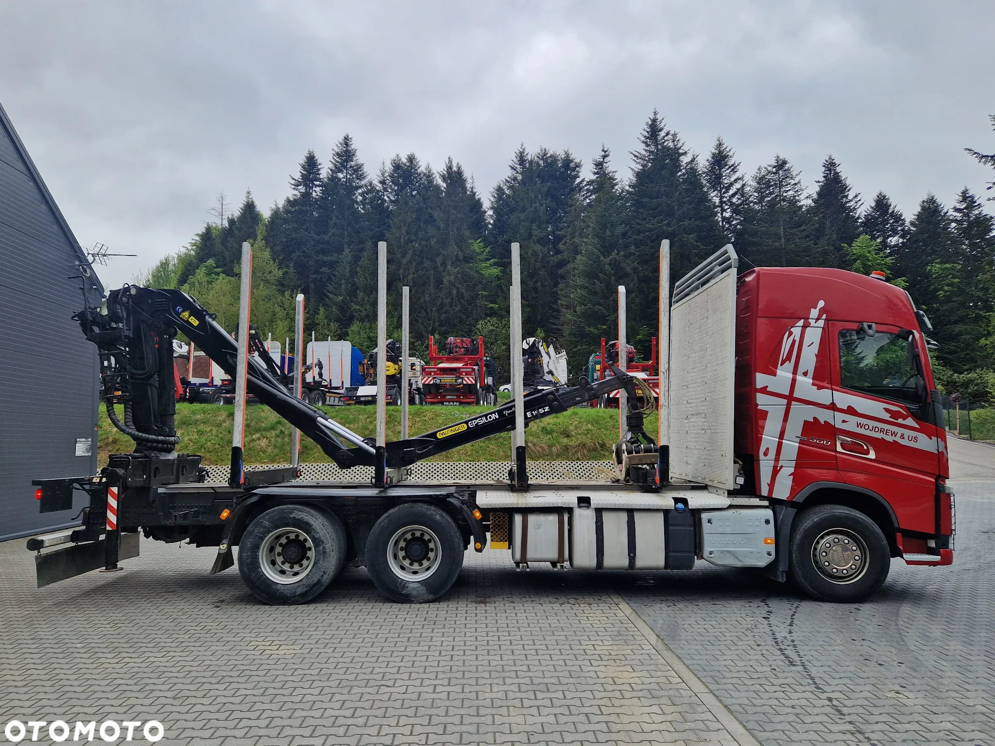 Volvo Do drewna drzewa lasu stos kłoda - 8