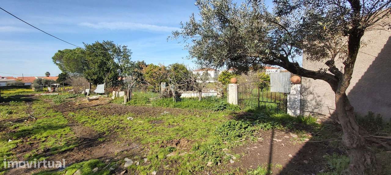✨ Terreno com 8.500 m² com 2 Moradia na encantadora Vila da Amareleja - Grande imagem: 4/27