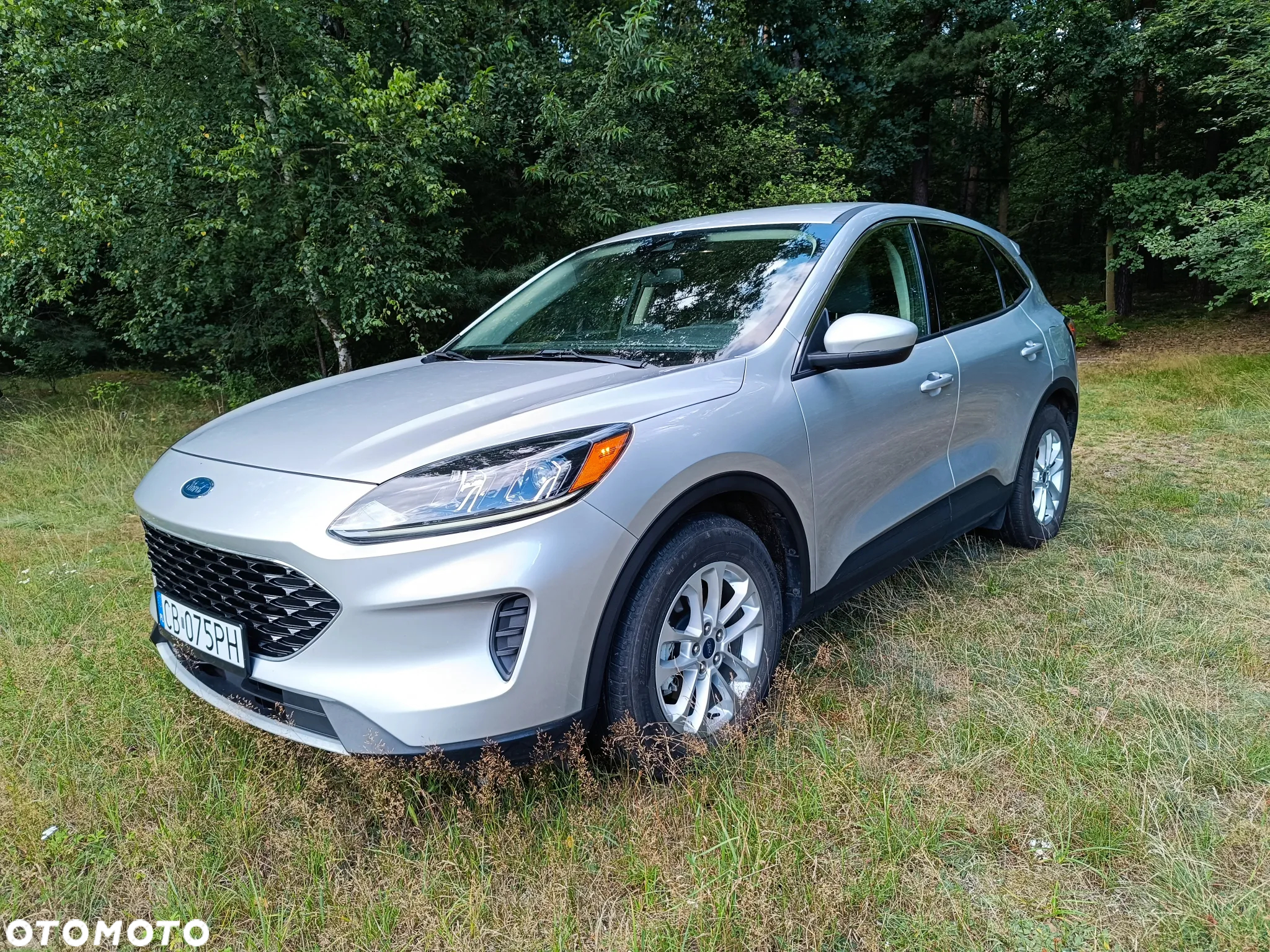 Ford Kuga - 2