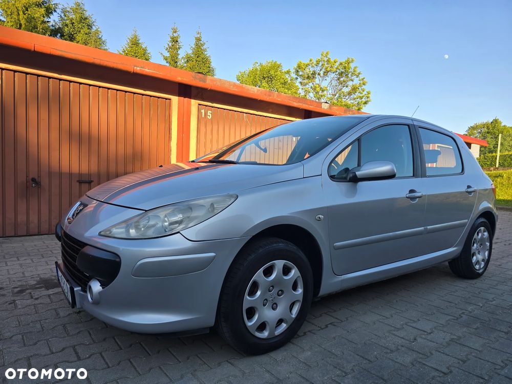 Peugeot 307 1.6 Premium - 6