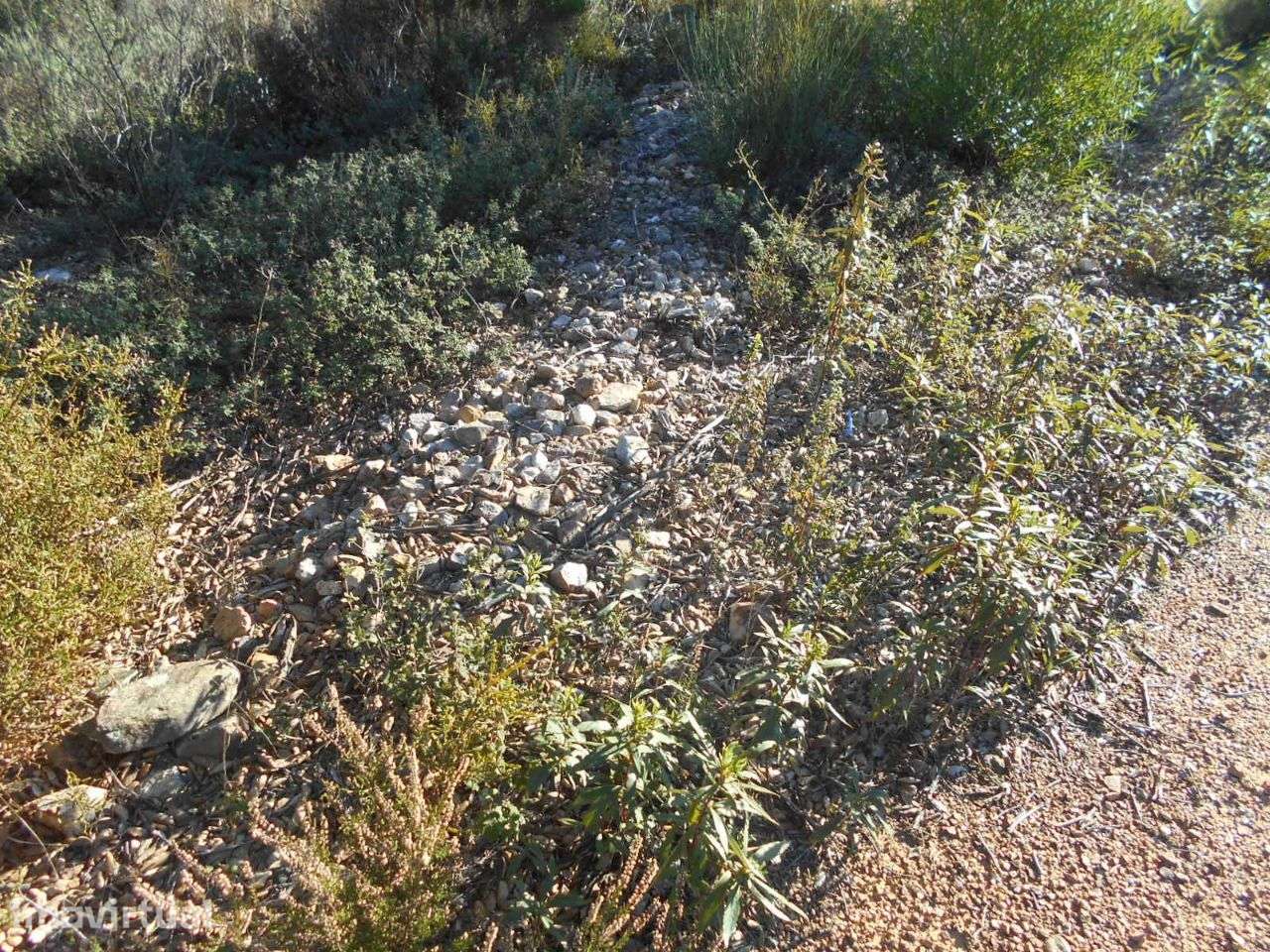 Terreno - Grande imagem: 5/7