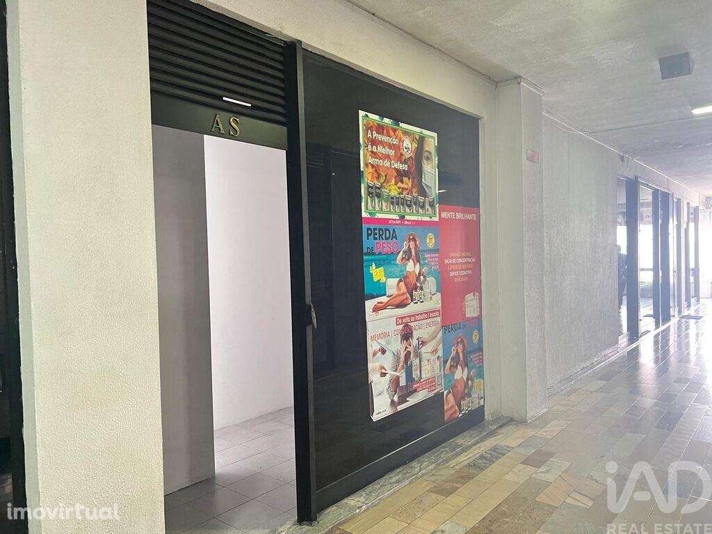 Loja / Estabelecimento Comercial em Amarante (São Gonçalo), Madalena, - Grande imagem: 2/14