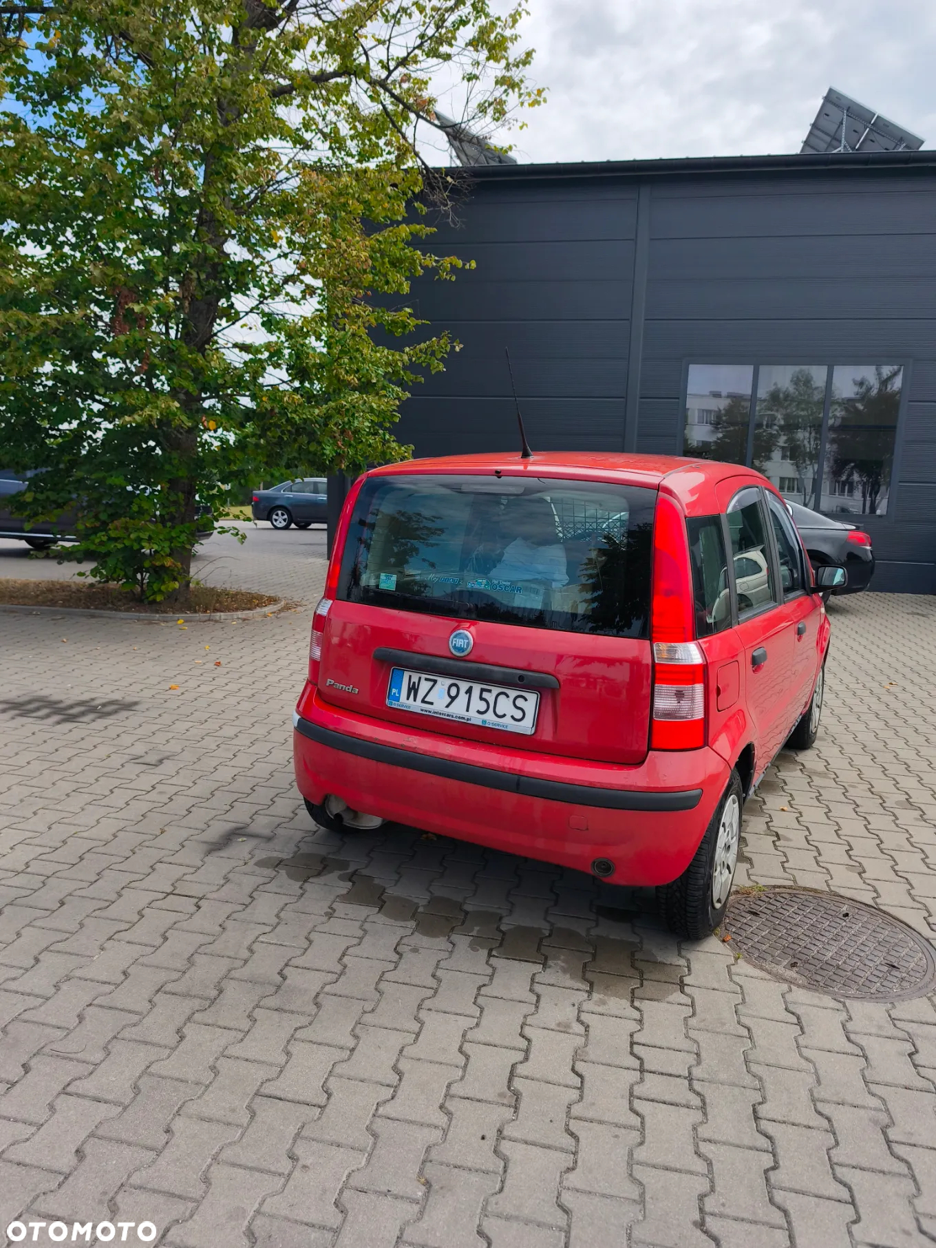 Fiat Panda - 3
