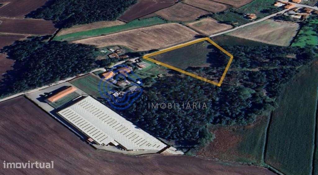 Terreno com 8.200 m2  - Vila do Conde - Grande imagem: 2/4