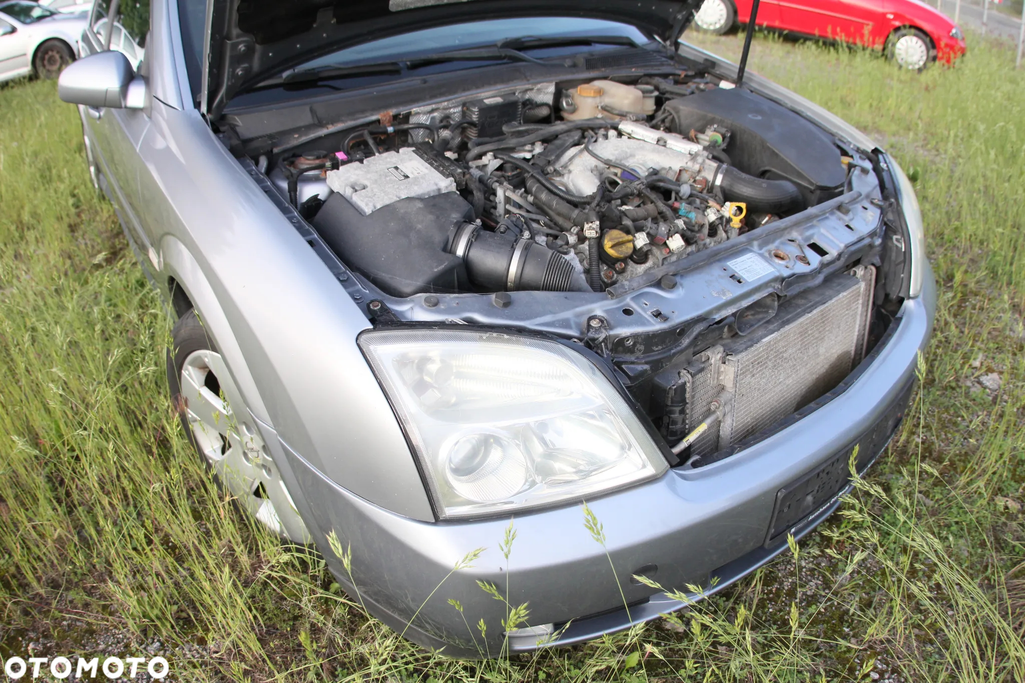 Opel Signum - 22