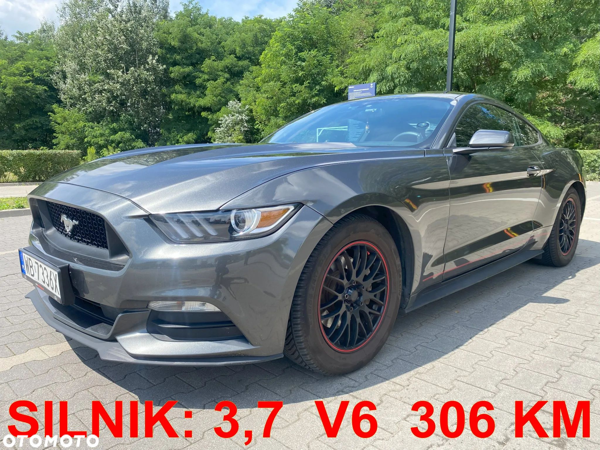 Ford Mustang - 1